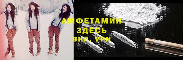 твердый Абаза