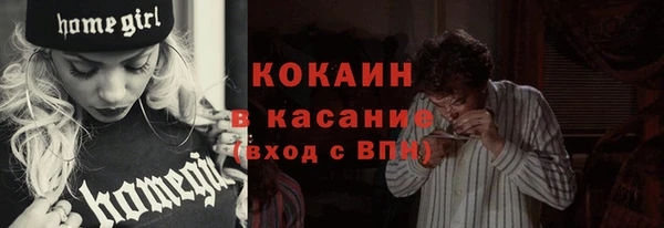 твердый Абаза
