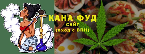 твердый Абаза