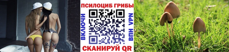 Псилоцибиновые грибы прущие грибы Шахты